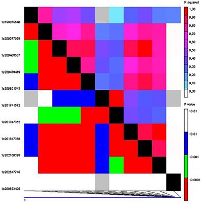 Validation of QTLs associated with corn borer resistance and grain yield: implications in maize breeding